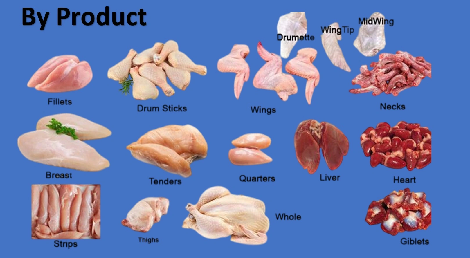 18 jenis produk ayam 1 18 by product samingan ayam