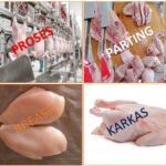 cContoh produk proses maklon ayam karkas boneless dada ayam parting