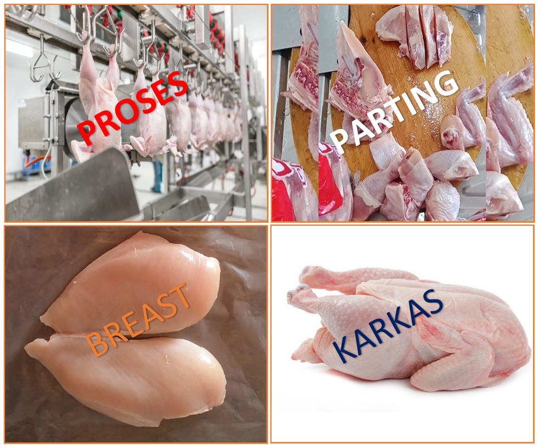 cContoh produk proses maklon ayam karkas boneless dada ayam parting